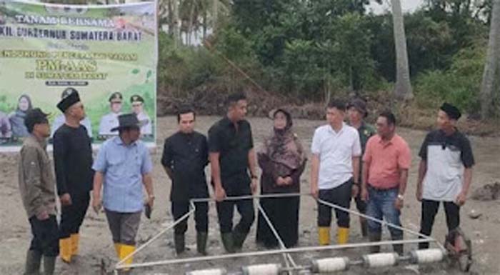 Wakil Gubernur Sumbar Vasko Ruseimy menghadiri penanaman perdana benih padi.