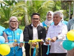 Program TJSL PLN Hadirkan Budidaya Lele Produktif untuk Tingkatkan Kesejahteraan Warga