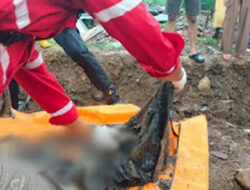 Kerangka Manusia Ditemukan di Palembayan