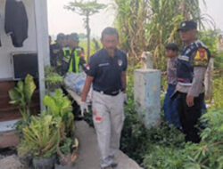 Perempuan Asal Rawamerta Ditemukan Tak Bernyawa di Area Persawahan Karawang