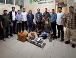 Polda Sumbar Bongkar Dugaan Penyelundupan Satwa Dilindungi di Jalan Padang–Painan