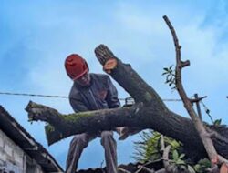 BPBD Evakuasi Warga Terdampak Banjir Padang