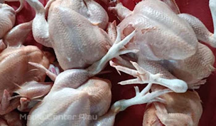 Harga daging ayam potong.