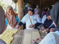 Belajar dari Solo, Nasabah PNM Mekaar Temukan Peluang Baru dari Singkong