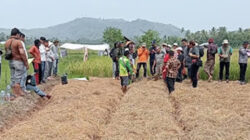 Kerja sama pertukaran pengetahuan di bidang pertanian.