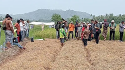 Kerja sama pertukaran pengetahuan di bidang pertanian.