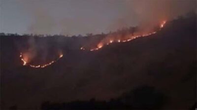 Karhutla Bromo Ditangani, Pintu Masuk Ditutup