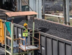BLU Batu Bara Bakal Jadi Pembeli Tunggal, 799 IUP Jadi Tantangan