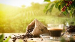 Bukan cuma soal kopinya, tapi setelah selesai ngopi juga harus dipikirkan sampahnya.