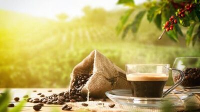 Bukan cuma soal kopinya, tapi setelah selesai ngopi juga harus dipikirkan sampahnya.