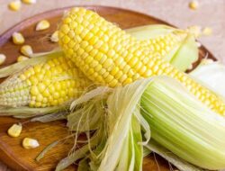 Jagung Manis Bisa Dimakan Mentah, Ini Tipsnya