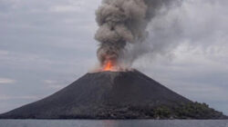 Gunung Anak Krakatau Kembali Erupsi
