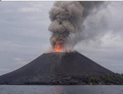 PVMBG Larang Warga Dekati Anak Krakatau