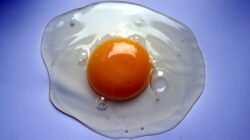 Waktu terbaik makan telur.