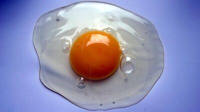 Waktu terbaik makan telur.