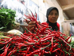 Harga Cabai Naik, Bawang Merah Stabil