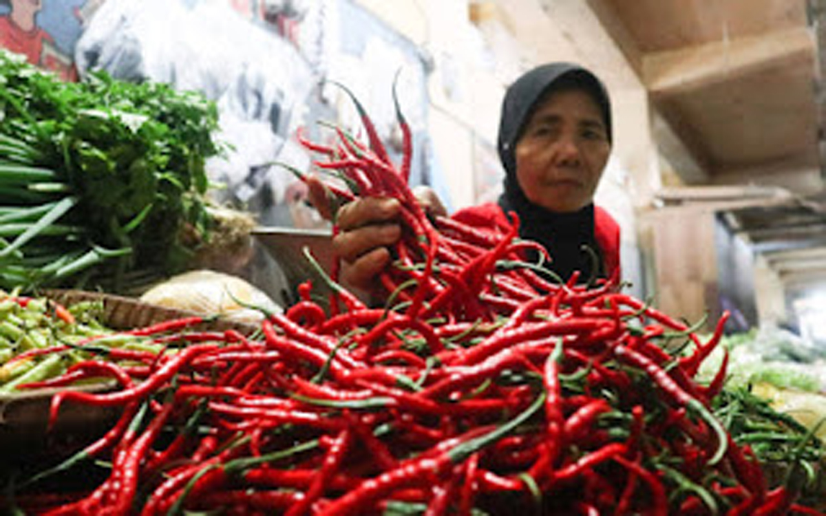 Harga beberapa jenis cabai di Pasar Raya Padang
