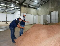 PLN EPI Percepat Pengembangan Biomassa, Target 3,65 Juta Ton untuk PLTU
