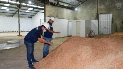 PLN EPI Targetkan Pasok 3,65 Juta Ton Biomassa ke 52 PLTU di 2026.