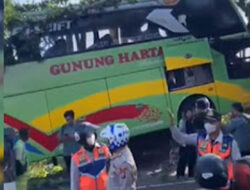 Bus Gunung Harta Hantam Dua Pohon, Penumpang Selamat