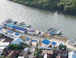 KNMP Tongke-Tongke Dongkrak Nilai Jual Tuna