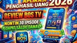 BOS TV,