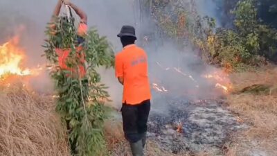 Hotspot Karhutla Melonjak, Kalimantan Selatan Tertinggi