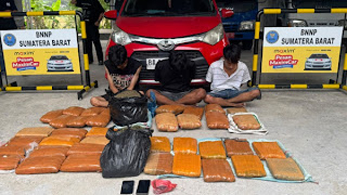 BNNP Sumbar Sita 44 Kg Ganja Di Dalam Calya Merah
