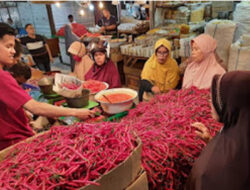 Harga Cabai di Padang Naik, Tomat dan Bawang Stabil