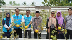 Wakil Wali Kota Padang Maigus Nasir mengapresiasi dukungan PT PLN (Persero).