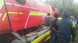 Bus Terguling di Jalintim Mesuji