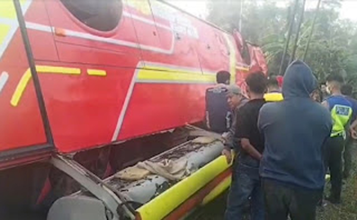 Bus Terguling di Jalintim Mesuji