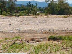 Pemko Padang Upayakan Pemulihan Sawah Terdampak Banjir