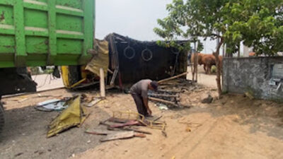 Bus Serobot Jalur, Truk Sapi Terguling