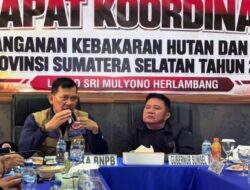 BNPB Perkuat Koordinasi dan Evaluasi Pemadaman Karhutla di Sumsel