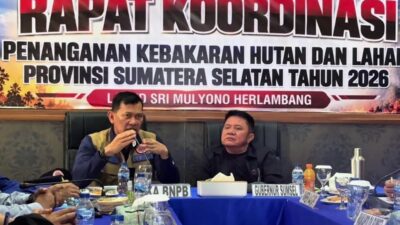BNPB Perkuat Koordinasi dan Evaluasi Pemadaman Karhutla di Sumsel