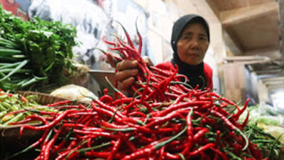 Harga cabai