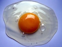 Kuning Telur Pucat dan Oranye, Apa Bedanya?