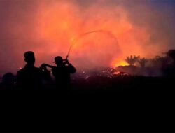 Karhutla Kalimantan Capai 3.392 Hektare, Ribuan Personel Dikerahkan Padamkan Api