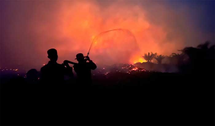 Petugas berjibaku memadamkan api karhutla di Kalimantan. (dok.bnpb)